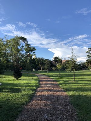 UCF Arboretum by null