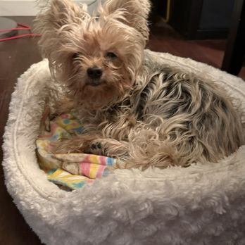 Bargain Barks - Pet Groomers Near Me - Phoenix, Arizona