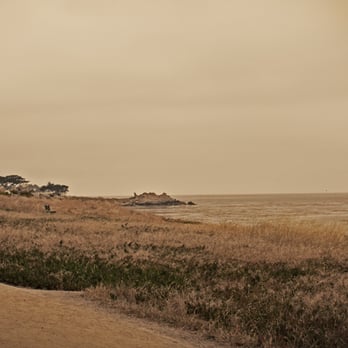 TGray Photography - Monterey Bay is beautiful! - Photographers Near Me TGray Photography - Monterey Bay is beautiful! - Photographers Near Me