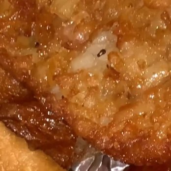 Jimbos Hamburgers - Roaches embedded in the hash browns. - Burgers Near Me - Bronx, New York Jimbos Hamburgers - Roaches embedded in the hash browns. - Burgers Near Me - Bronx, New York