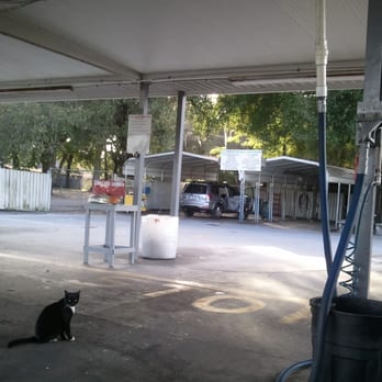 Tropical Car Wash - Carwash Kitty! - Car Wash Near Me - Tampa, Florida Tropical Car Wash - Carwash Kitty! - Car Wash Near Me - Tampa, Florida