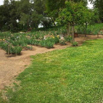 Horton Iris Garden - Attraction Farms Near Me - Loomis, California