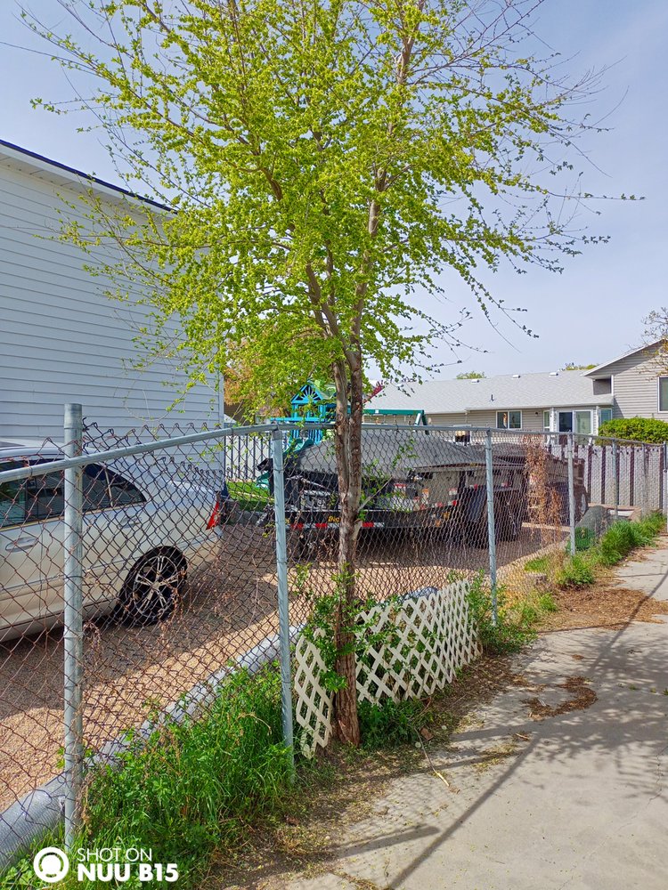 Arbor Services - tree service in West Valley City, UT