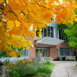 University Of Oregon - Fall on the University of Oregon Portland Campus. Bright yellow leaves in front of the Library & Learning Center building.