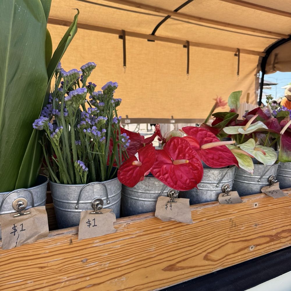 Oahu Flower Truck - Pop-up Shops Near Me Oahu Flower Truck - Pop-up Shops Near Me