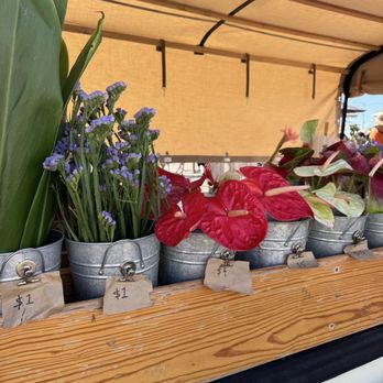 Oahu Flower Truck - Pop-up Shops Near Me Oahu Flower Truck - Pop-up Shops Near Me