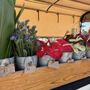 Photo of Oahu Flower Truck