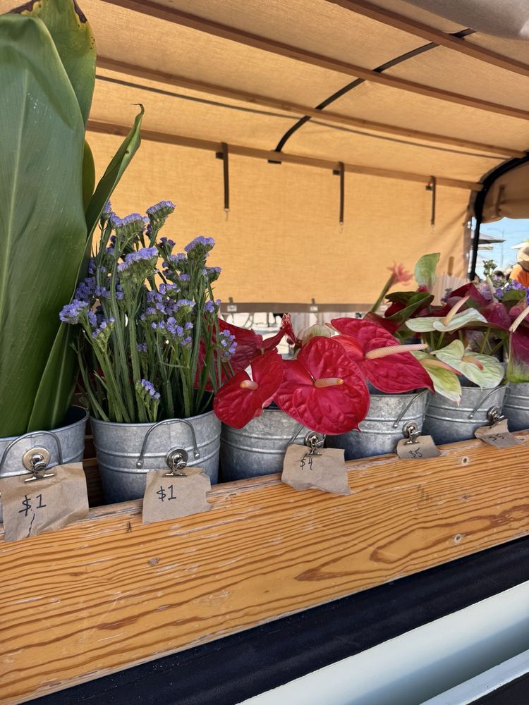 Oahu Flower Truck Logo