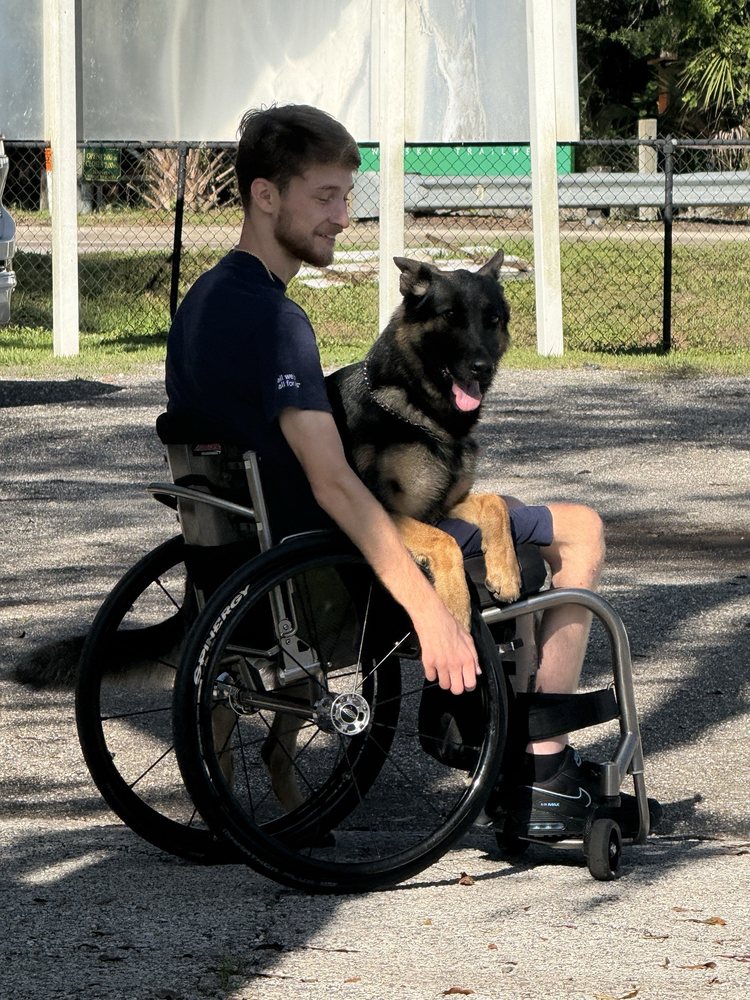 Sit N Stay Dog Academy Image
