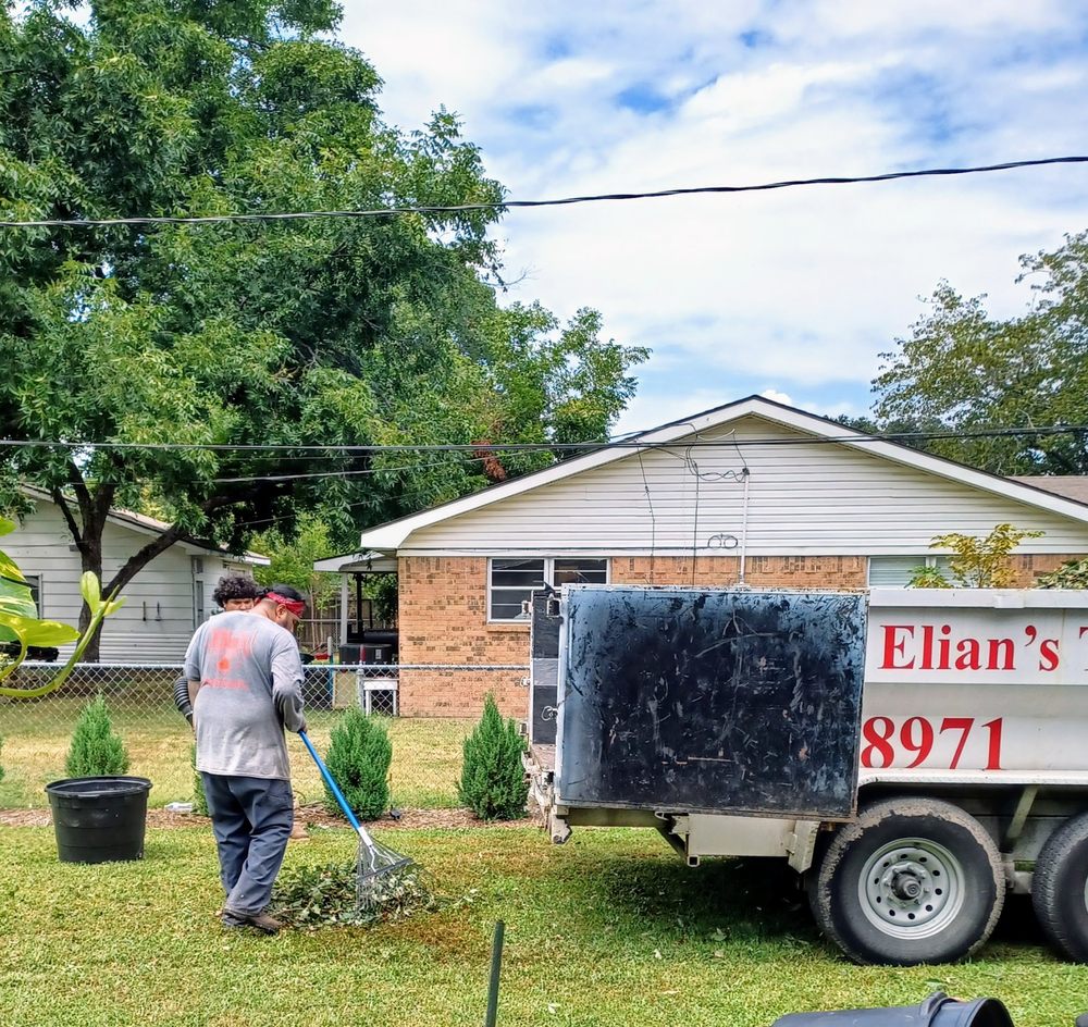 Elian's Tree Service - tree service in Kaufman, TX