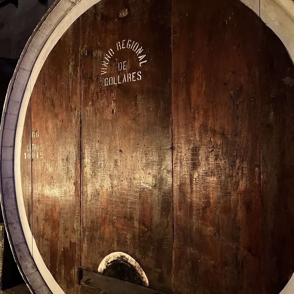 Adega Regional de Colares - Wineries Near Me - Colares, 11