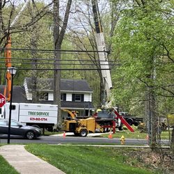 Chajon Hamilton Tree Service - Using large equipment for tree service on a residential property in Hamilton Township, NJ.