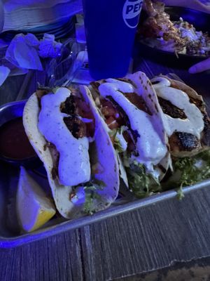 Siesta Key Oyster Bar by null