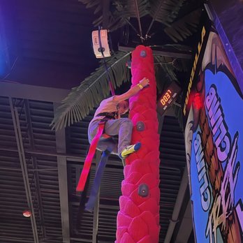 Funzilla in Delran - Climbing Tree at Funzilla in Delran - Trampoline Parks Near Me - Delran, New Jersey