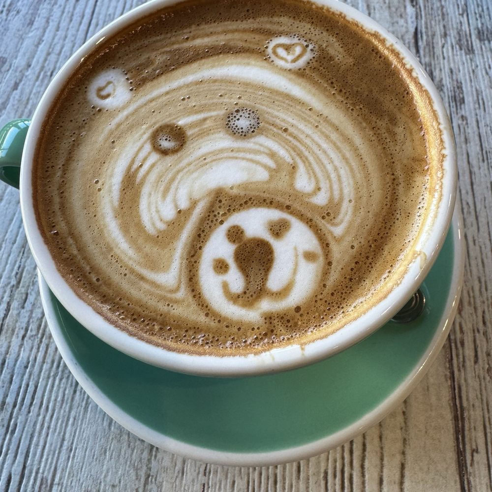 A bear in my coffee this morning A bear in my coffee this morning