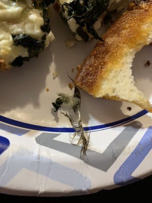 Pizza By Alex by null