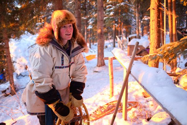Alaska Homestead Adventures by null