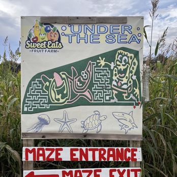 Sweet Eats Adventure Farm - Attraction Farms Near Me - Georgetown, Texas