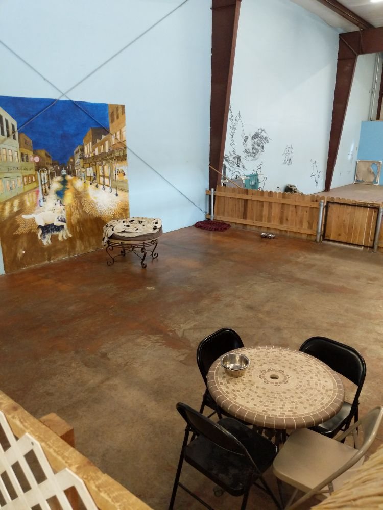 CARING PAWS DOGGIE DAY CARE Updated October 2024 21 Reviews 2519