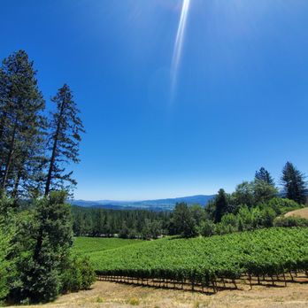 CADE Estate Winery - Vinyards - Wine Tasting Room Near Me - Angwin, California CADE Estate Winery - Vinyards - Wine Tasting Room Near Me - Angwin, California