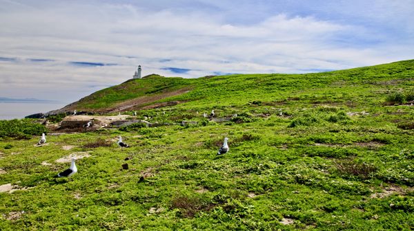 Anacapa Island by null