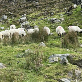 Slieve League - Landmarks & Historical Buildings Near Me - Carrick, DL