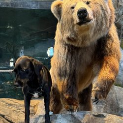 Bass Pro Shop - Ruby Sue and her new friend she isn't sure about .