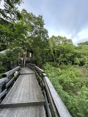 Rakuichi Soba by null