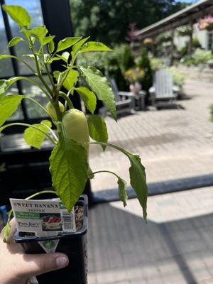 Iowa Outdoor Products