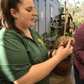 Wildlife Learning Center - Staff showing guests Rafael the tortoise.  He can live up to 150 years old...wow.  What's his secret to a long life? - Zoos Near Me - Sylmar, California