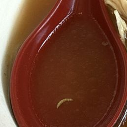 As I was eating today 5-7-25 I found a worm in my soup