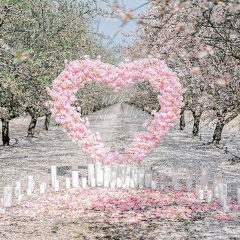 Agate Proposals & Marquees - Party & Event Planning Near Me Agate Proposals & Marquees - Party & Event Planning Near Me