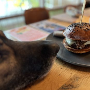 Roger Bar & Restaurant - Cheese burger, with caramelized onions. No veggies. He likes it medium rare. - New American Near Me - Mountain View, California Roger Bar & Restaurant - Cheese burger, with caramelized onions. No veggies. He likes it medium rare. - New American Near Me - Mountain View, California