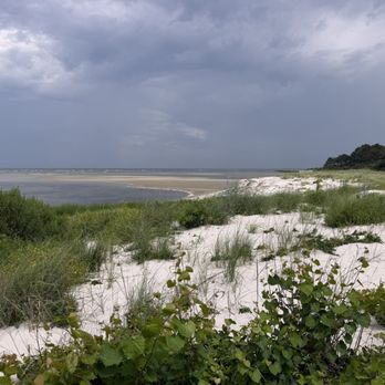 The Laughing King - The Chesapeake Bay - Bed & Breakfast Near Me - Cape Charles, Virginia The Laughing King - The Chesapeake Bay - Bed & Breakfast Near Me - Cape Charles, Virginia