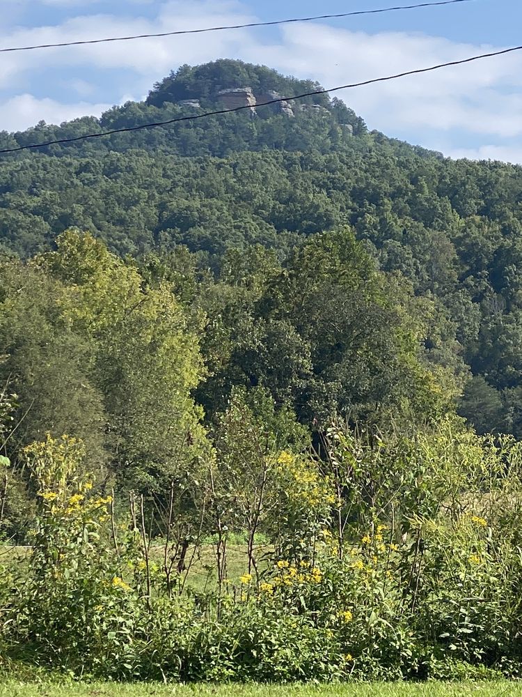 ROTTEN FORK COMMUNITY CHAPEL Updated June 2024 2665 Rotten Fork Rd