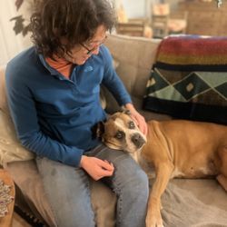 Gwen Lovetere Acupuncture - Performing some medical QiGong on Xena- she loves it