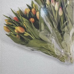 Jumbo - Great price