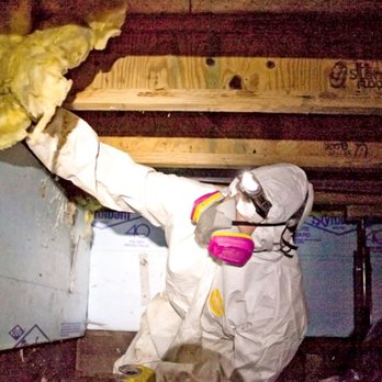 Rodent Exterminator Control - Pest Control Near Me Rodent Exterminator Control - Pest Control Near Me