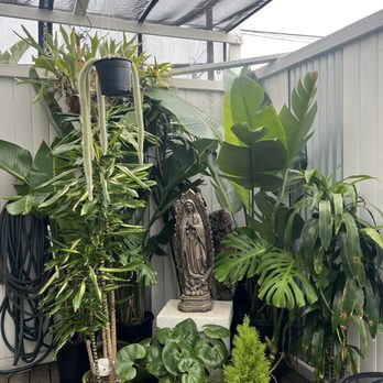 Plantology Café - Coffee & Tea Near Me - Oceanside, California