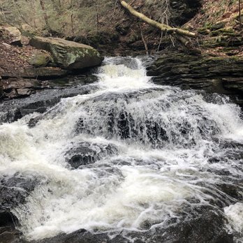 Ricketts Glen State Park - Parks Near Me - Benton, Pennsylvania