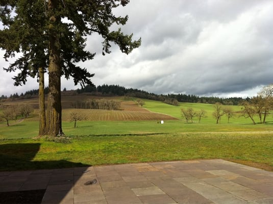Stoller Family Estate by null