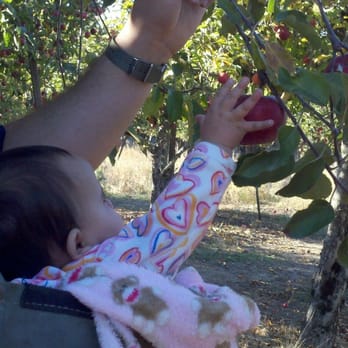 Apple-A-Day Ratzlaff Ranch - Fruits & Veggies Near Me - Sebastopol, California