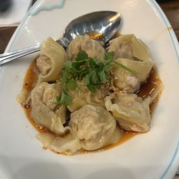 Sichuan Hot & Spicy Dumplings