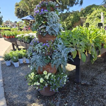 Roger's Gardens - Nurseries & Gardening Near Me - Corona Del Mar, California