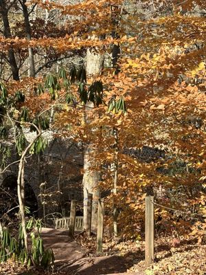 Bowman's Hill Wildflower Preserve by null