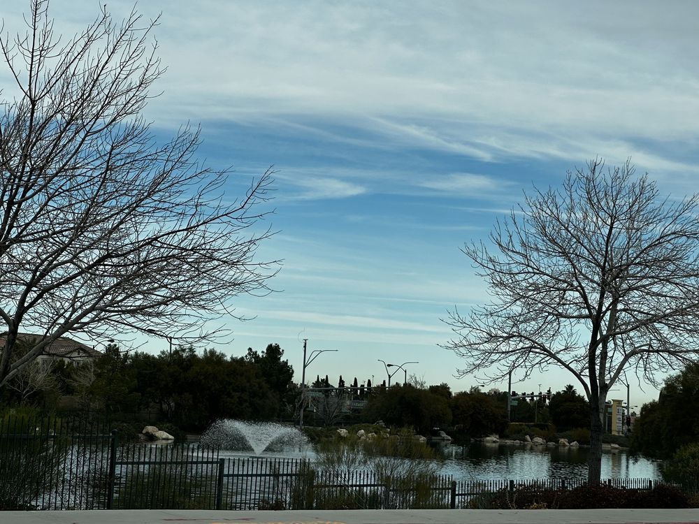 Olympia Corporation - social services organization in Las Vegas, NV