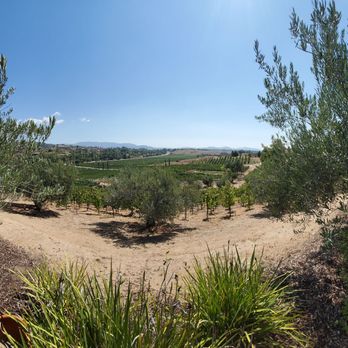 Grapeline Wine Tours - Cougar - Wine Tours Near Me - Temecula, California
