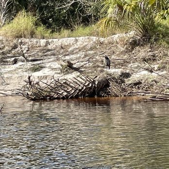 Peace River Airboat Tours - Tours Near Me - Arcadia, Florida Peace River Airboat Tours - Tours Near Me - Arcadia, Florida