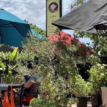 Bricks & Scones - Patio - Coffee & Tea Near Me - Los Angeles, California