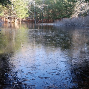Woodbury Sanctuary - Vernal pool - Hiking Near Me - Monmouth, Maine
